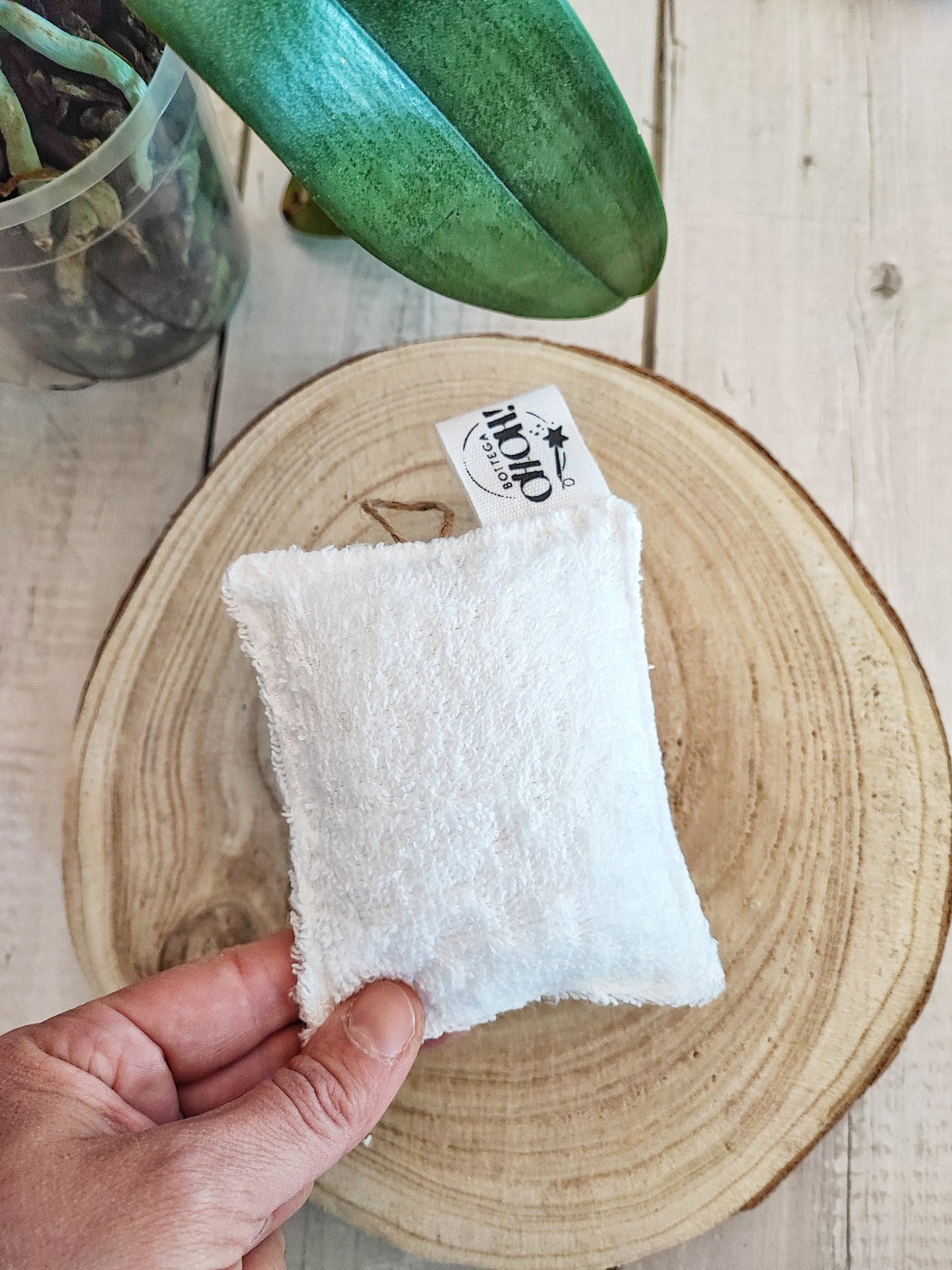 SPUGNE RIUTILIZZABILI | Piatti o corpo