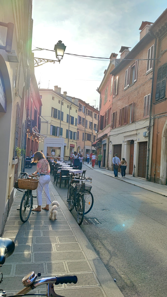 🧵Una piccola storia di creatività nel cuore di Ferrara.